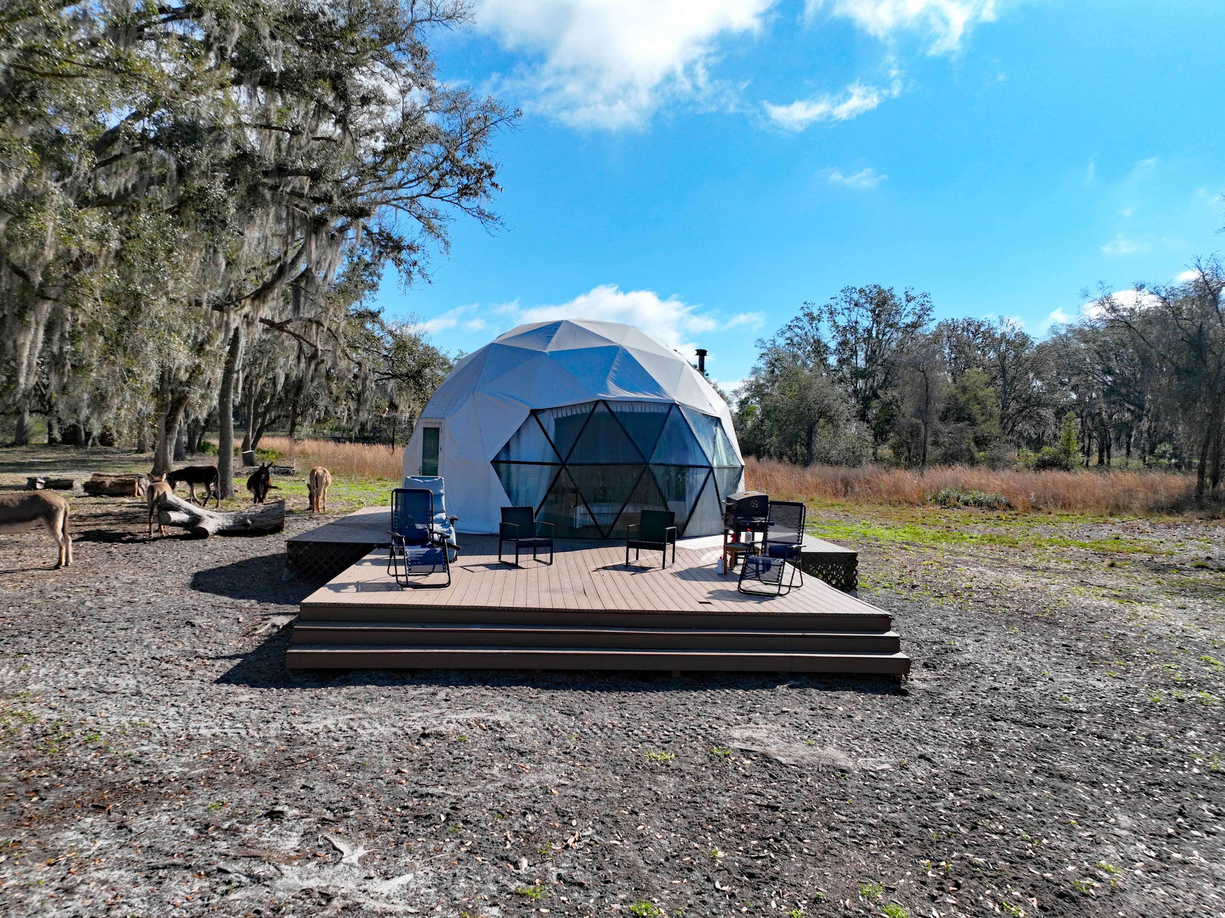 Geodesic Dome